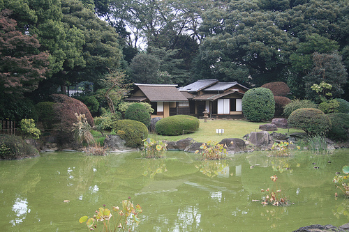 Noticias sobre: Paisajismo