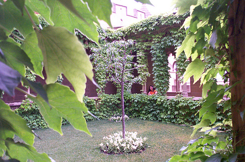 Noticias sobre: Jardines Colgantes