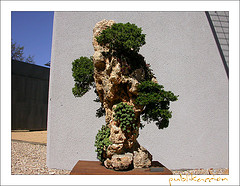 Breve Reseña De La Evolución De Las Calderas