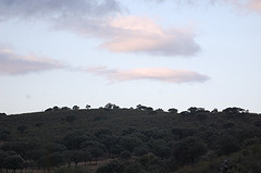 Una Nueva Generación De Hoteles Ecológicos Deja Clara Su Preocupación Por El Medio Ambiente En Las Capitales Europeas