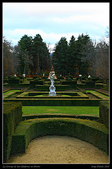 Urban Oasis. Jardín Rural En Una Azotea Moderna. Diseño De Cubierta Vegetal