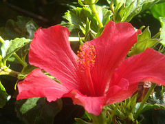 Marrakech En Marruecos – 13 Chivatazos Prácticos