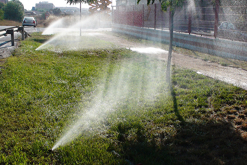 Noticias sobre: Sistemas De Riego