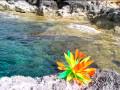 POSIDONIA FESTIVAL  ATTACK
