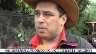 Plantas Ornamentales 10 Ejemplos