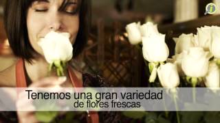 Arreglos Florales Aguadilla