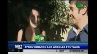 Arboles Frutales En Buenos Aires Facebook