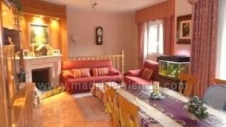 Venta De Arboles Y Arbustos Ornamentales