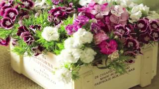 Precios De Arreglos Florales En Buenos Aires