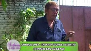 Arbustos Ornamentales En Colombia