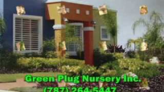 Plantas Ornamentales Zonas Aridas