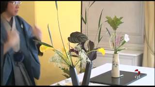 Arreglos Florales Japoneses Ikebana