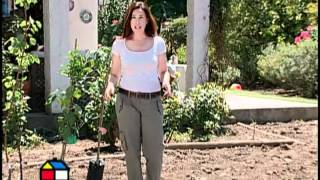 Jardines Con Arboles Frutales