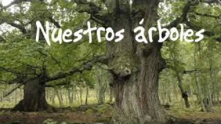 Arboles Frutales Y Su Importancia