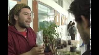 Plantas Carnivoras Medellin Colombia