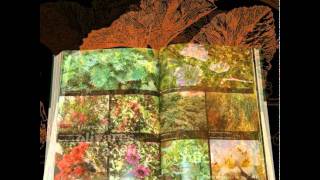 Plantas Curativas En La Biblia