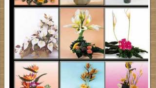 Arreglos Florales Frutales