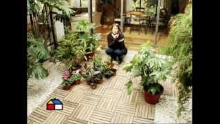 Decoracion De Jardines Pequeños En Interiores
