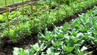 Manual De Huertos Familiares Organicos