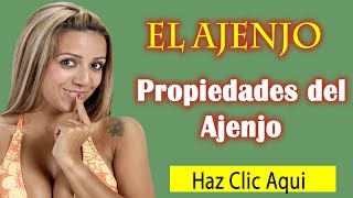 Plantas Curativas Ajenjo