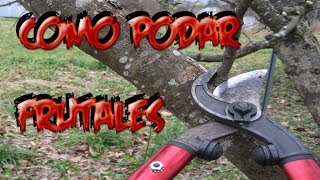 Www.poda De Arboles Frutales