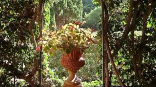 Diseño De Jardines Valencia