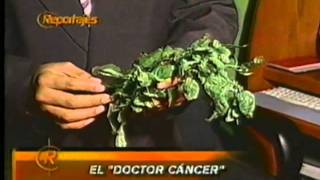 Plantas Curativas Contra El Cancer