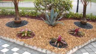 Diseño De Jardines De Bajo Mantenimiento