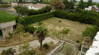 Venta De Arboles Frutales En Zaragoza