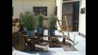 Decoracion De Jardines Torreon