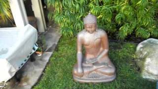 Plantas Ornamentales Resistentes