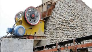 Plantas Ornamentales En Santa Cruz Bolivia