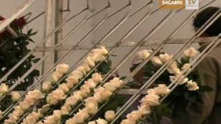 Produccion De Flores Y Plantas Ornamentales