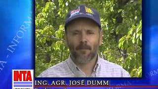 Arboles Frutales Inta