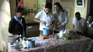 Plantas Curativas Caseras