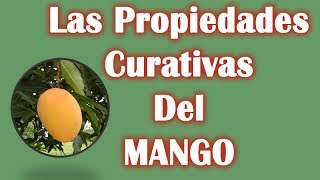 La Biblia De Las Plantas Medicinales Y Curativas