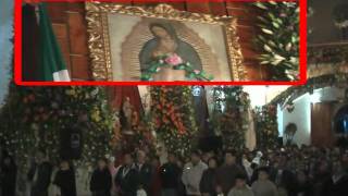 Arreglos Florales Veracruz