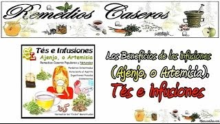 Plantas Curativas Ajenjo