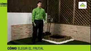 Arboles Frutales Para Zonas Frias