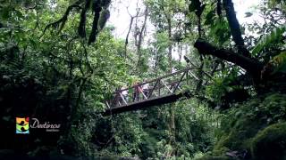 Decoracion De Jardines Heredia