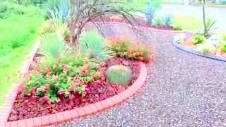Diseño De Jardines Torreon