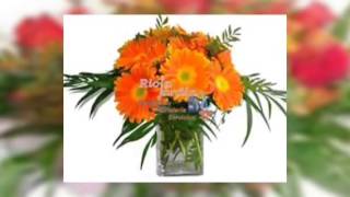 Decoracion De Jardines Con Jarrones
