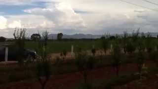 Arboles Frutales Zacatecas
