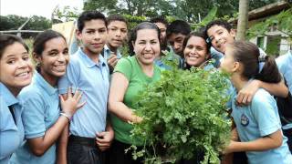 Antecedentes De Los Huertos Familiares En Venezuela