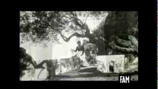 Nombres De Arboles Frutales De El Salvador