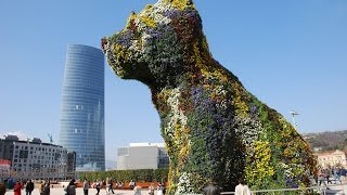 Arbustos Ornamentales Jardin