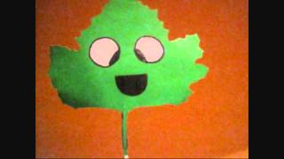 Las Plantas Carnivoras Hacen El Proceso De Fotosintesis