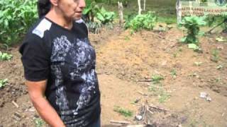 Manual De Huertos Familiares Fao