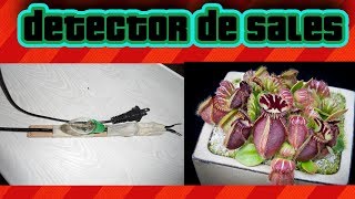 Plantas Carnivoras Texto