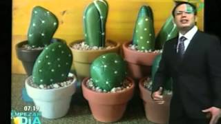 Decoracion De Jardines Con Piedras Y Cactus